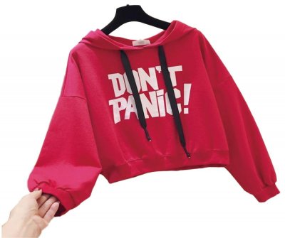 Autumn Women Sweatshirt Letter Print Fashion Long Sleeve Pullover Hoodies Casual short Hooded Women Sweatshirt